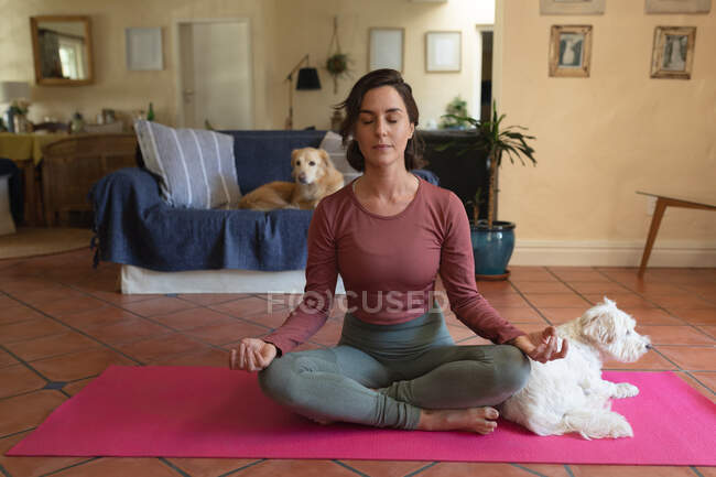 Кавказька жінка у вітальні зі своїми домашніми собаками, практикує йогу, медитує. Домашнє життя, дозвілля вдома. — стокове фото