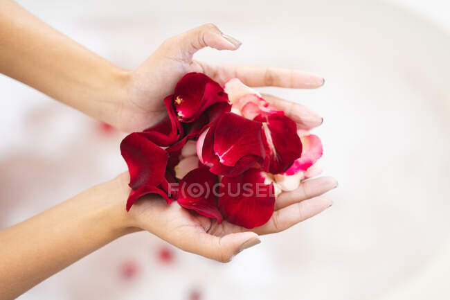Hände von Frauen im Badezimmer, die Rosenblätter halten, um ihr Schönheitsbad zu bereichern. häuslicher Lebensstil, selbstgepflegte Freizeit zu Hause genießen. — Stockfoto