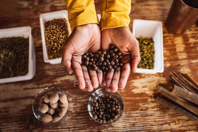 Close up view of hands holding juniper berries at gin distillery. alcohol production and filtration concept. — Stock Photo