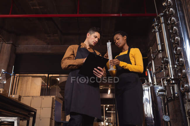 Hombre caucásico y mujer afroamericana revisando el producto de ginebra en frasco en la destilería de ginebra. concepto de producción y filtración de alcohol - foto de stock