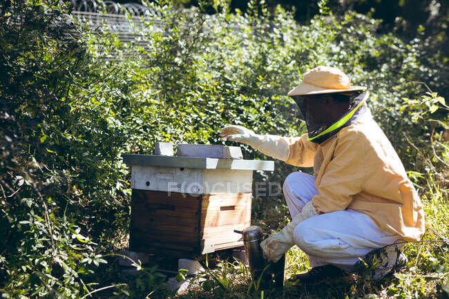 Midsection of caucasian senior man wearing beekeeper uniform opening beehive. beekeeping, apiary and honey production concept. — Stock Photo