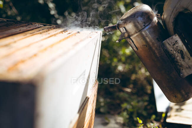 Hands of senior man wearing beekeeper uniform trying to calm bees with smoke. beekeeping, apiary and honey production concept. — Stock Photo