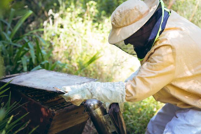Homem idoso caucasiano vestindo uniforme de apicultor tentando acalmar abelhas com fumaça. conceito de apicultura, apiário e produção de mel. — Fotografia de Stock