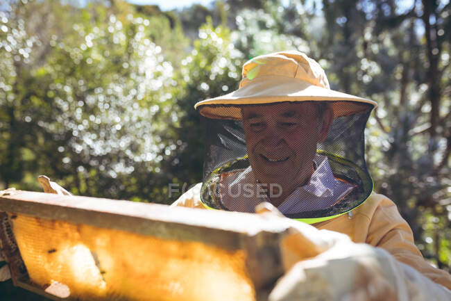 Happy caucasian senior man wearing beekeeper uniform holding a honeycomb with bees. beekeeping, apiary and honey production concept. — Stock Photo
