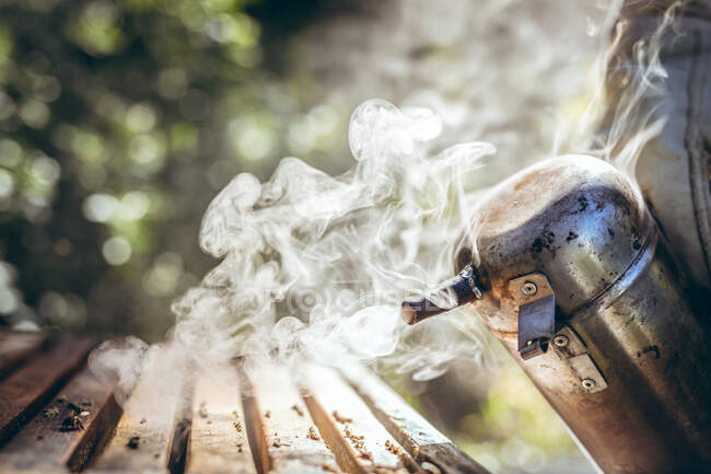Hands of man wearing beekeeper uniform trying to calm bees with smoke. beekeeping, apiary and honey production concept. — Stock Photo