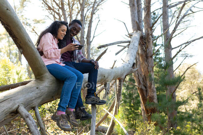 Pareja diversa sentada en la rama en el bosque. estilo de vida al aire libre saludable y activo y tiempo libre. - foto de stock
