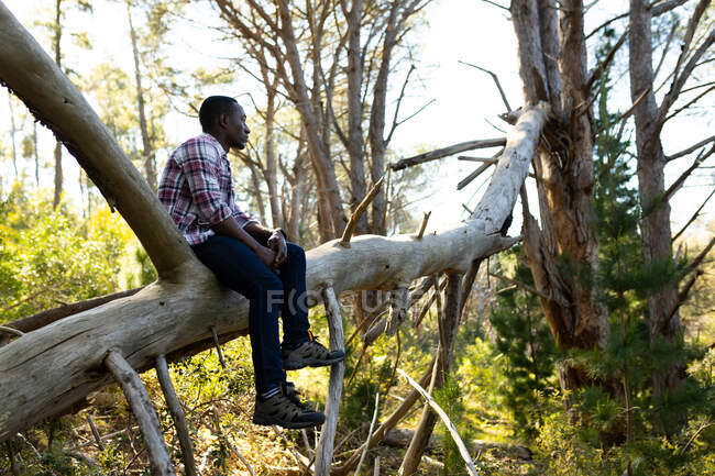 Hombre afroamericano sentado en una rama en el bosque. estilo de vida al aire libre saludable y activo y tiempo libre. - foto de stock