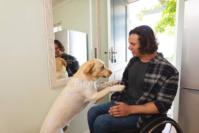 Uomo disabile caucasico seduto sulla sedia a rotelle a giocare con il suo cane a casa. concetto di disabilità e handicap — Foto stock