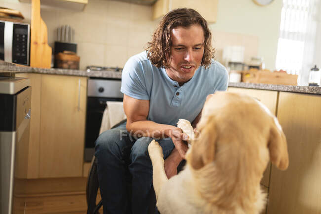 Белый инвалид, сидящий на инвалидной коляске и играющий с собакой дома. Концепция инвалидности и инвалидности — стоковое фото