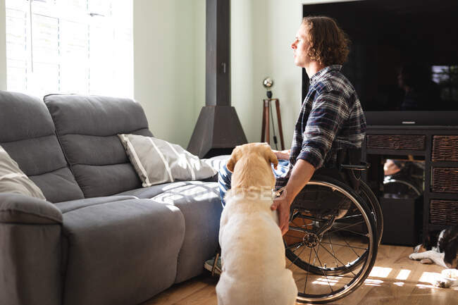 Hombre caucásico discapacitado con perro sentado en silla de ruedas mirando por la ventana en casa. concepto de discapacidad y discapacidad - foto de stock