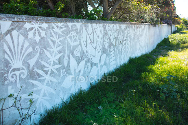 Beautiful creative abstract mural painting covering entire surrounding wall by grass. street art and creativity. — Stock Photo