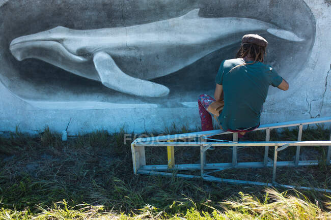 Rear view of male freelance artist sitting on ladder making beautiful whale mural painting on wall. street art and skill. — Stock Photo