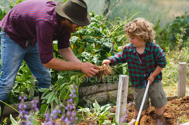 Young man with son planting together at organic greenhouse on sunny day. homesteading and family. — Stock Photo