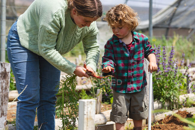 Молодая мама учит о сельском хозяйстве милого мальчика, стоящего в теплице в солнечный день. домовладение и семья. — стоковое фото