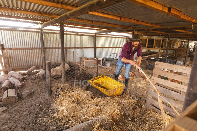 Мужчина фермер держит палку, стоя снаружи свиной ручки на органической ферме. усадьба и домашний скот. — стоковое фото