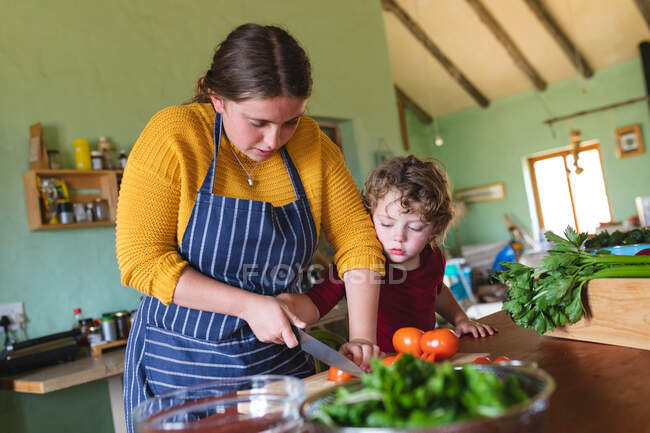 Chico curioso mirando a la madre usando delantal cortando tomates frescos en el mostrador de la cocina. alimentación familiar y saludable, estilo de vida doméstico. - foto de stock