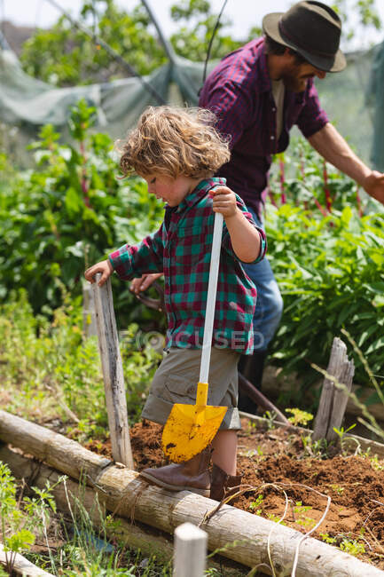 Blond boy holding shovel while father farming behind at greenhouse on sunny day. homesteading and family. — Stock Photo