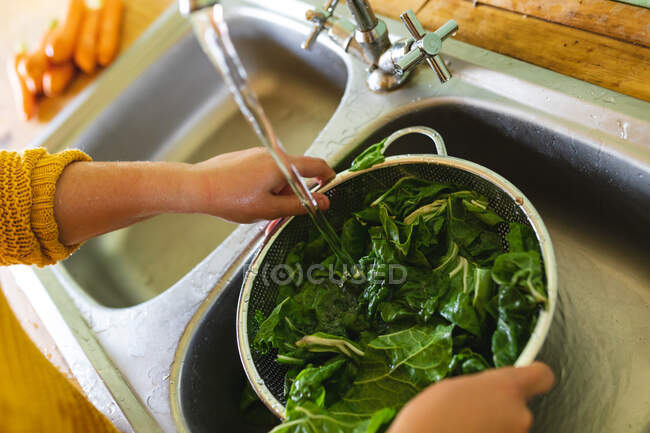 Mains de jeune femme lavant légumes à feuilles vertes dans passoire sous l'eau dans évier de cuisine. alimentation biologique et saine, mode de vie domestique. — Photo de stock