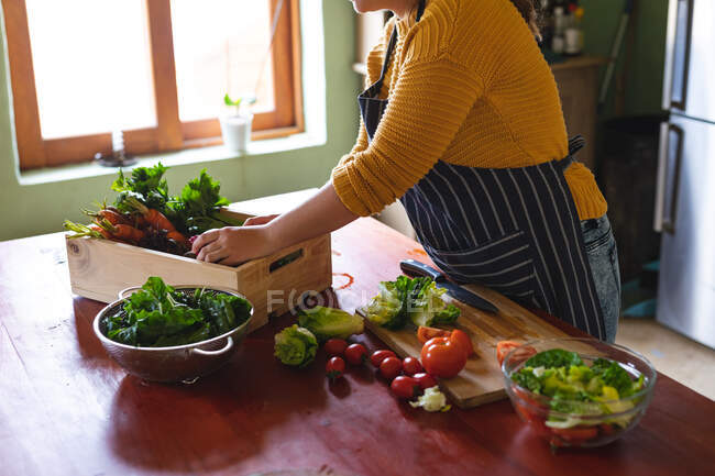 Sección media de la mujer joven preparando la comida con verduras frescas en el mostrador de la cocina. estilo de vida doméstico y alimentación saludable. - foto de stock