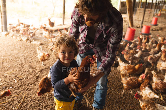 Portrait of cute boy holding hen with father in domestic pen. homesteading and poultry farming, livestock. — Stock Photo