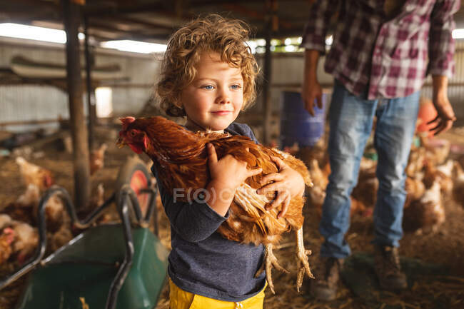 Lindo chico rubio sosteniendo gallina con padre en el fondo en la pluma en la granja de aves de corral. agricultura familiar y avícola, ganadería. - foto de stock