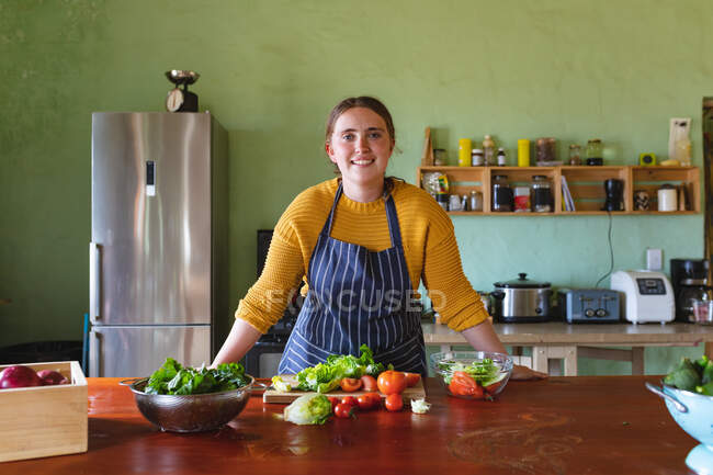 Retrato de una mujer sonriente con delantal apoyado en el mostrador de la cocina con varias verduras frescas. estilo de vida doméstico y alimentación saludable. - foto de stock
