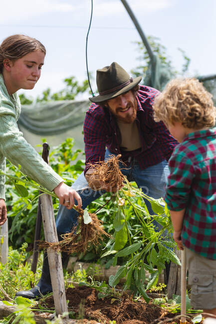 Los padres jóvenes enseñan a su hijo sobre la agricultura en la granja orgánica en el día soleado. casa y familia. - foto de stock