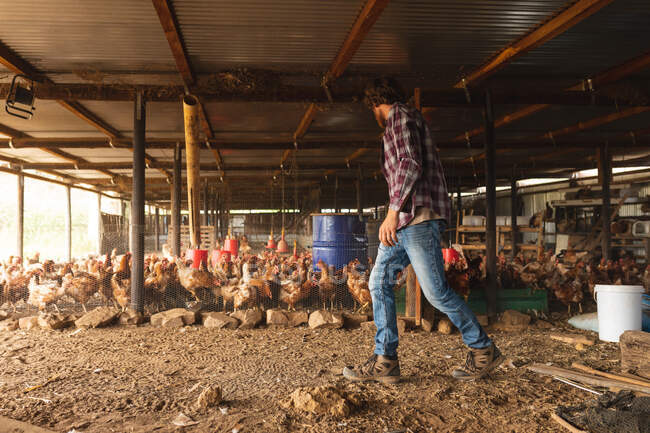 Jungbauer spaziert durch Hühnerherde im Stall auf Biobauernhof. Gehöft und Vieh. — Stockfoto