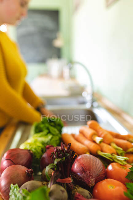 Close-up of fresh organic vegetables variations on kitchen counter with young woman using sink. organic and healthy eating, domestic lifestyle. — Stock Photo