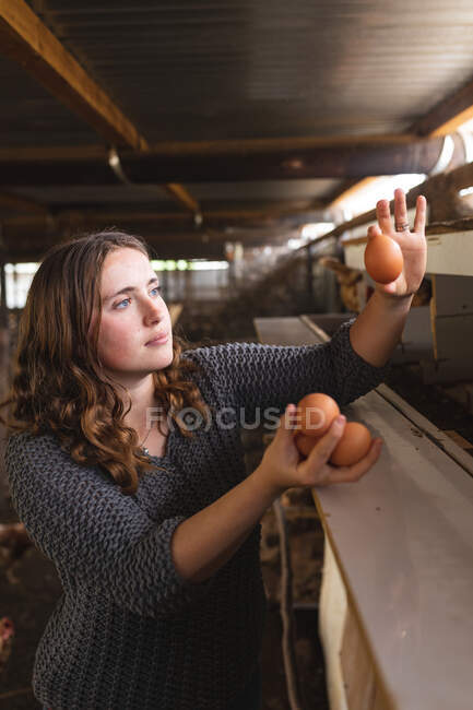 Mujer joven mirando huevo marrón mientras está de pie junto a la pluma de madera en la granja orgánica. agricultura familiar y avícola. - foto de stock