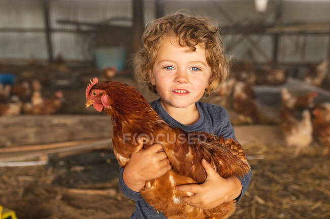 Portrait of cute blond boy holding brown hen in domestic pen at organic poultry farm. childhood, homesteading and poultry farming. — Stock Photo