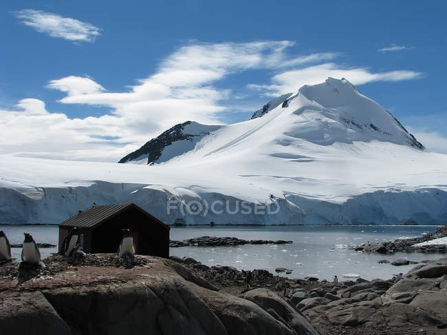 Antarctique — Photo de stock