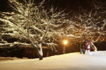 Young couple walking in snowy park at night — Stock Photo