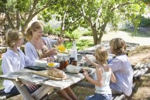 Feliz madre e hijos teniendo comida en el patio trasero de verano - foto de stock