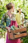 Jeune femme tenant une caisse de radis — Photo de stock