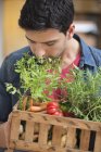 Man smelling fresh herb in crate — Stock Photo