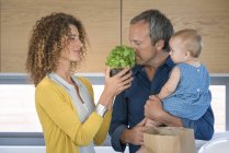 Mature man smelling potted herb plant in kitchen with baby daughter — Stock Photo
