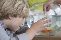 Close-up of little boy looking at fishbowl — Stock Photo