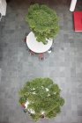 Vue en angle élevé des bonsaïs poussant sur les tables dans le hall du bureau — Photo de stock