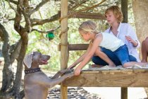 Kinder spielen mit Hund in Baumhaus — Stockfoto