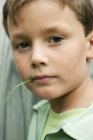 Portrait of little boy holding blade of grass in mouth — Stock Photo