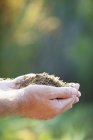 Close-up of male hands holding soil in garden — Stock Photo
