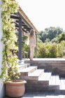 Жінка ходить на дерев'яній терасі в сонячному саду — стокове фото