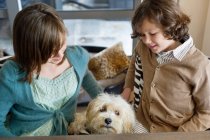 Boy and his sister playing with a dog — Stock Photo