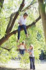 Усміхнені маленькі брати і сестри грають на гойдалках на дереві в літньому саду — стокове фото