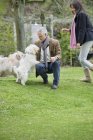 Couple playing with cute dogs in garden — Stock Photo