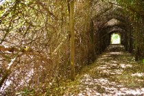 Узкий путь, проходящий через туннель — стоковое фото