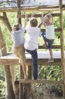 Дети карабкаются по лестнице к домику на дереве в саду — стоковое фото