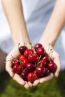 Крупный план женских рук, держащих свежие красные вишни — стоковое фото