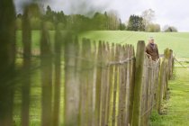Uomo in piedi vicino alla recinzione in campo verde — Foto stock